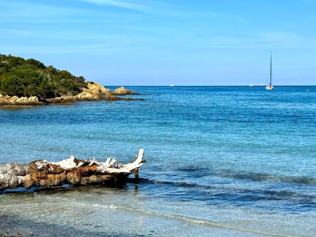 Kitesurf and Wingfoil Cruise Sardinia and Corsica